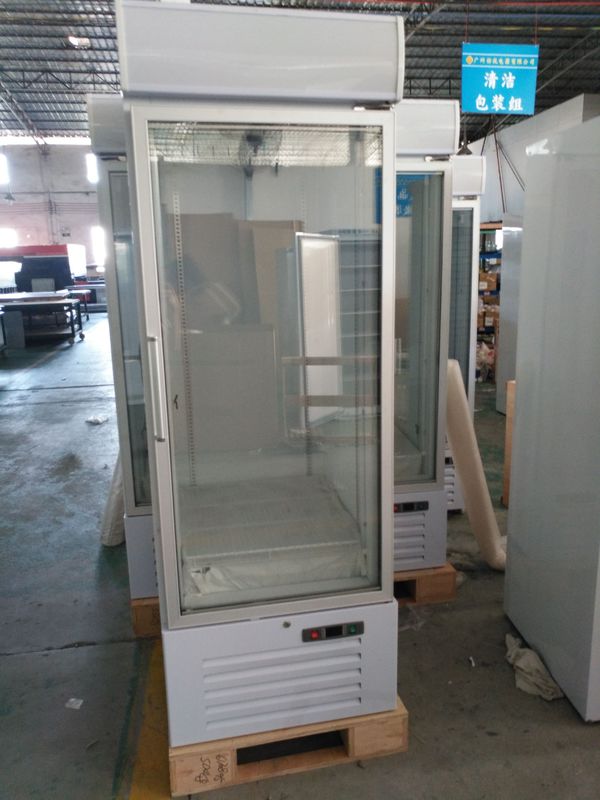 Auto Defrost Upright Glass Door Freezer Single Auto Defrost Upright Glass Door Freezer Single Merchandiser Refrigerator