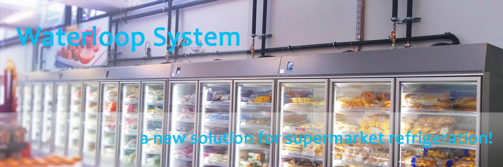 quality Open Display Fridge factory