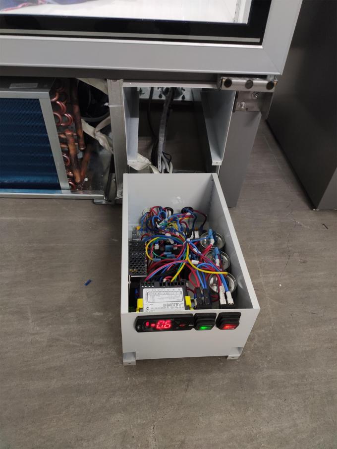 Commercial Upright Glass Door Freezer Fridge With Plug In Secop