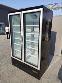 Commercial Supermarket Upright Glass Door Freezer With Inner Vertical Led Lights