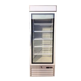 Single Glass Ice Cream Upright Display Freezer With LED Canopy And Embraco Compressor