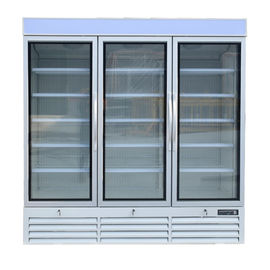 Commercial Upright Glass Door Freezer Fridge With Plug - In Secop Compressor