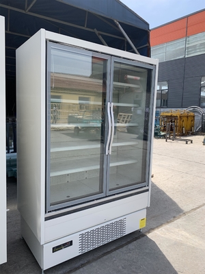 Frost Free Vertical Store Beverage Refrigerator Energy Saving Design