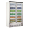 R290 Vertical Glass Door Refrigerator Merchandiser With Low Energy Consumption Fan Motor