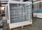 Vertical Plug In Display Freezing Cabinets R290 With Glass Doors