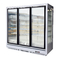 Supermarket Upright Display Cooler with Inner Vertical LED Lights for Ice Cream