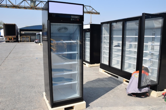 Ice Cream Upright Glass Door Freezer With Ec Fan Motors Energy Saving