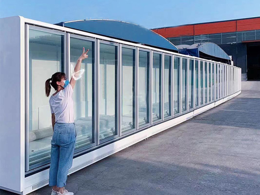 Swinging Glass Door Reach In Remote Wall Merchandiser Freezer In White