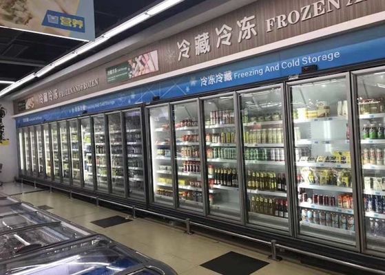 Carel Thermostat Commercial Upright Freezer For Frozen Food
