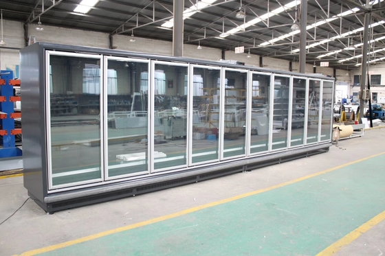 Remote Multideck Swing Glass Door Display Freezer with Remote Copeland  Condensing Unit for Frozen Foods